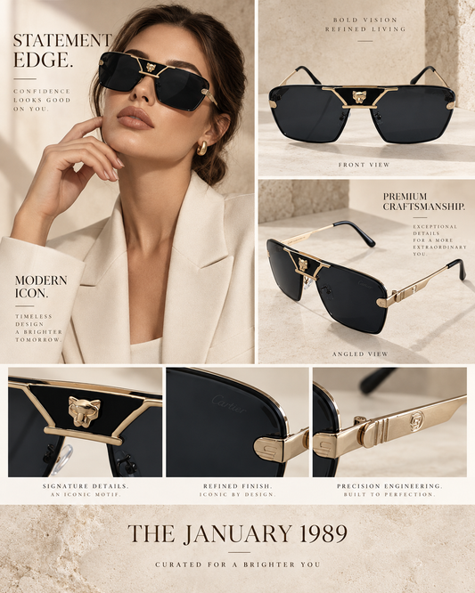 C BLACK AND GOLD SUNGLASSES
