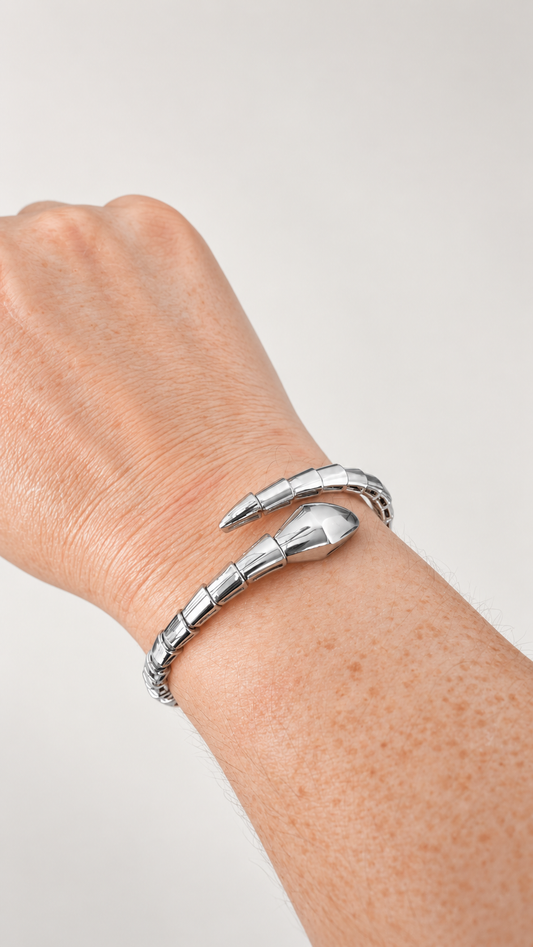 SNAKE COLORS GOLD SILVER BRACELET